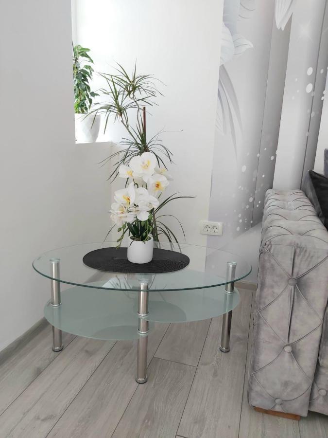 Apartment Marina 2 โกตอร์ ภายนอก รูปภาพ