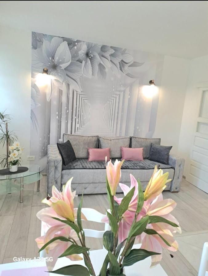 Apartment Marina 2 โกตอร์ ภายนอก รูปภาพ